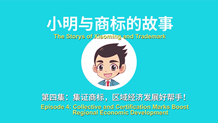 集证商标视频